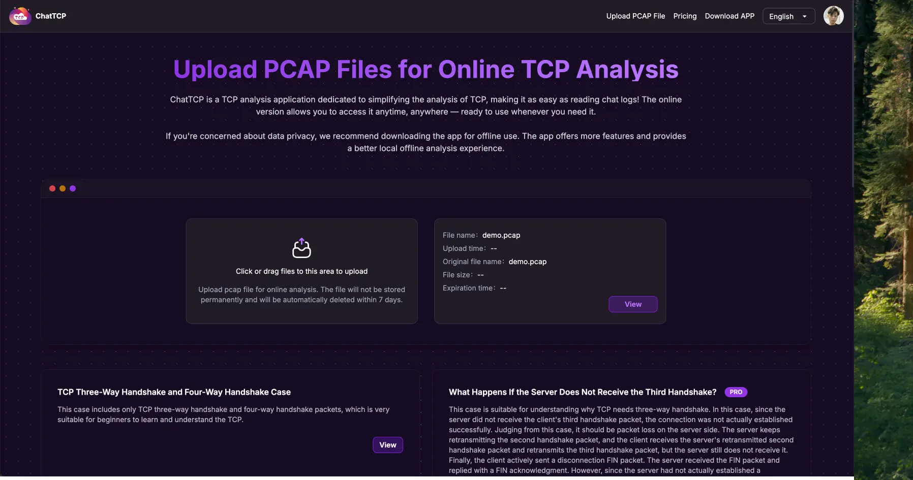 ChatTCP Relaunches Online Web Version