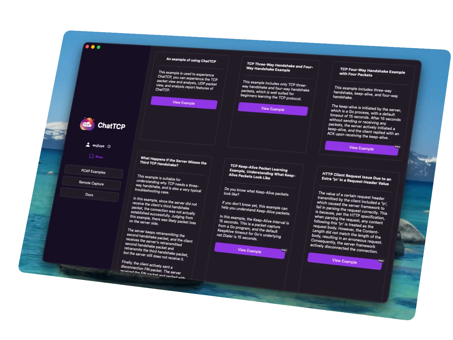 Lower the barrier to learning network protocols | ChatTCP features